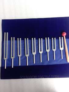 2 diapasons de guérison pour les sinus avec activateur + pochette HLS EHS - Product Image 5