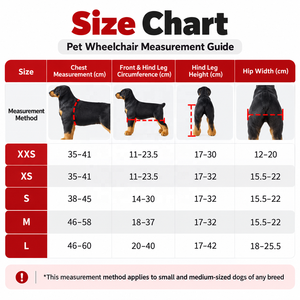 <span class=keywords><strong>Chariot</strong></span> de soutien arrière pliable et réglable en alliage d'aluminium à 2 roues pour chiens et chats âgés ou handicapés - Vente en gros - Product Image 4