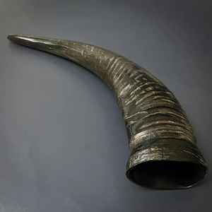 Corne à boire en corne de buffle de qualité personnalisable, nouveau design, durable, corne d'animal viking, décoration de la maison, polie, bière - Product Image 3