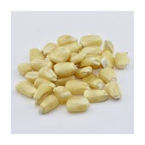 OEM NON Gmo maíz blanco al por mayor de alto fabricante nuevo mejor material con tarifa barata - Product Image 3