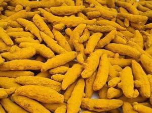 Bâton de curcuma cru séché au soleil, qualité supérieure, origine Gujarat, riche en curcumine, soutient l'immunité, bienfaits anti-inflammatoires - Product Image 6