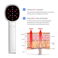 Nouvelle thérapie au Laser froid vétérinaire 650nm 808nm pour le soulagement de la douleur de l'arthrite de chien de cheval baguette de guérison de blessure d'acupuncture de lumière rouge