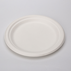 Assiettes de fête jetables en bagasse écologique pour les événements de restaurants cafés avec nettoyage facile et service de l'Inde - Product Image 4