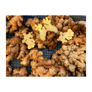 Jengibre fresco Premium de Vietnam, el mejor jengibre fresco con fuerte aroma y sabor picante perfecto para platos culinarios y exportación - Product Image 2