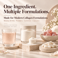 Poudre de peptides de collagène bovin hydrolysé 90% protéines, ingrédient en vrac pour la santé des articulations et la beauté, fournisseur