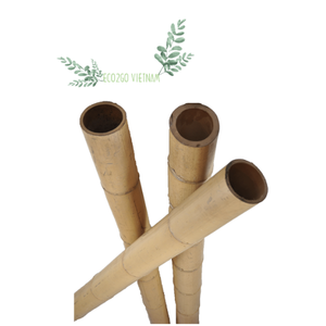 เสาไม้ไผ่ขนาดใหญ่สำหรับส่งออกวัตถุดิบจากไม้ไผ่100% จากผู้ผลิต Eco2go เวียดนาม - Product Image 2