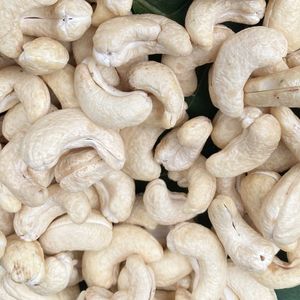 Fournisseur de confiance vietnamien Noix de cajou grillées et emballage Santigo au Vietnam W320 bonne qualité exporté vers l'UE, Moyen-Orient - Product Image 1