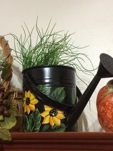 Bidon d'eau galvanisé avec travail en émail avec poignées ergonomiques pour l'arrosage facile des plantes et la décoration du jardin. - Product Image 3