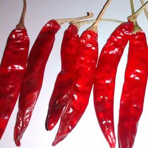 Pimiento seco puro 100%, el mejor comprador, Chile rojo seco en caliente - Product Image 3