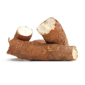 Achat/commande en ligne de légumes frais de qualité supérieure racines de manioc du Costa Rica avec la meilleure qualité meilleur prix exportations d'Allemagne