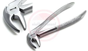 Dental Surgical Forceps Set (6 Pieces) Extracting High <b>Quality</b> Stainless Steel Extraction Forceps - Product Image 6