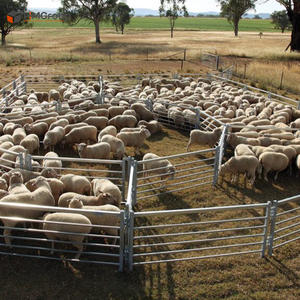 โรงเรือนเลี้ยงแกะแบบพกพา โครงเหล็กแข็งแรง ทนทาน พร้อมแผงกั้นสำหรับแกะและแพะ รูปทรงกลม - Product Image 2