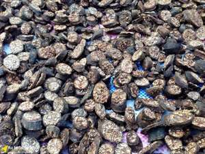 กล้วยหอมป่าตากแดด/NON-GMO/สารเติมแต่ง/คุณภาพสูง - Product Image 2