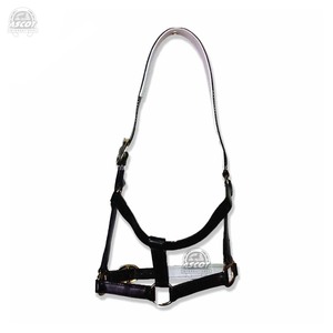 Low Moq Horse Riding Halter en Pvc Correa ajustable impermeable para ecuestre Top Indian Seller - Product Image 1