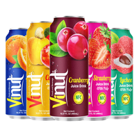 100% Vers Fruit 490ml Geblikte Drank met 50% Sap en Vruchtvlees: Cranberry, Lychee, Sinaasappel, Aardbei - Groothandel - Private Label OEM