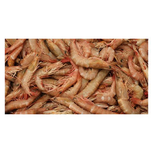 Camarones enteros al por mayor de todos los tamaños, presentados con clasificación de calidad de exportación - Product Image 5