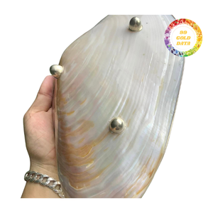 Plato de concha de nácar pulido, plato de comedor hecho a mano de Vietnam artesanal - Product Image 2