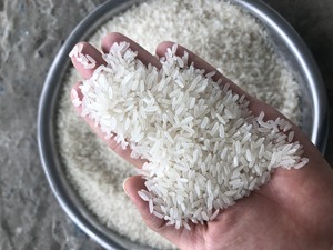Riz Blanc ข้าวหอมกรุ่นยาวมาก Riz arroz เพิ่มขึ้น5กก. กระเป๋าสำหรับตลาดตะวันออกกลางและแอฟริกา-Anna DO Vila - Product Image 2