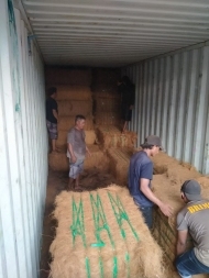 Fibre de noix de coco haute résistance éco-sûre du Vietnam (Viet Seafarm VSF_CF) pour les applications domestiques industrielles Agriculture 19% humidité maximale - Product Image 5
