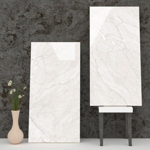 กระเบื้องโฟมพอร์ซเลนที่มีคุณภาพระดับพรีเมี่ยม600X1200mm สำหรับการออกจากพื้นที่ - Product Image 1