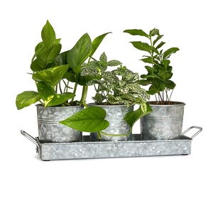hot sale Garden Planter Galvanized Stainless Steel fashionable Trending <b>Plant</b> Tub Flower <b>Basket</b> Customized Platners - Product Image 6