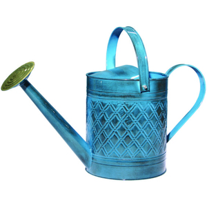 Arrosoir en métal enduit de poudre articles de jardin arrosoir Design unique arrosoir Pot à prix attractif - Product Image 2