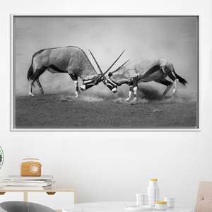Impression sur toile Monochrome Oryx Antelope Fight - Art animalier africain, TOILE ENCADRÉE BLANCHE - Product Image 1