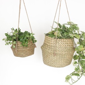 กระถางหญ้าทะเลแบบแขวนตกแต่งผนังกระถางหญ้าทะเลสานกระถางต้นไม้ฟางยั่งยืน - Product Image 3