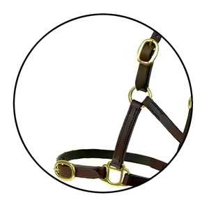 Halter en cuir de selle anglaise fabriqué à la main de qualité supérieure Équipement occidental d'entraînement confortable et élégant avec rembourrage souple en nylon durable - Product Image 4