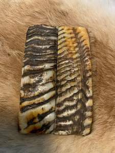 Placas de Montura Óptica de Cuerno de Búfalo Natural Pulido de Calidad, Artesanía Natural de Calidad - Product Image 5