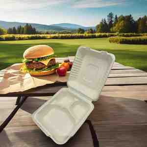 Caja para llevar de un solo uso hecha de papel de caña de azúcar para la industria alimentaria - Product Image 4