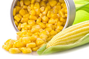 <b>Canned</b> Sweet Whole Kernel Corn and High Standard - <b>Canned</b> Sweet Corn with Bulk Quantity / MS. SHYN - Product Image 5