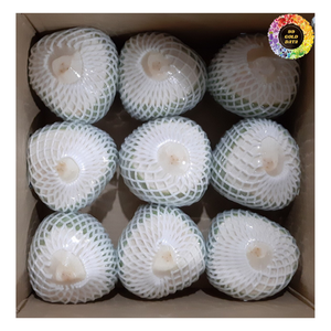 มะพร้าวสดแบบเปิดง่ายมะพร้าวเจียระไนเพชรสดเสร็จเรียบมะพร้าวอ่อนสดพร้อมกระดุมสำหรับดื่ม - Product Image 5