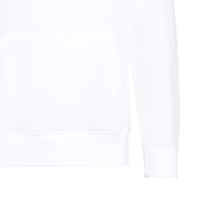 Nouveau confortable vêtements d'hiver hommes sweats à capuche pour vente en ligne léger manches complètes personnalisé hommes basiques à capuche pour l'extérieur - Product Image 6