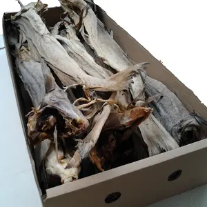 Dry StockFish and Frozen Fish for exports all ports