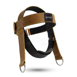 Arnés de Cabeza Profesional de Metal y EVA, Equipo de Entrenamiento de Cuello Resistente para Levantamiento de Pesas, Logotipo Personalizado, Precio al por Mayor, Equipo de Gimnasio - Product Image 2