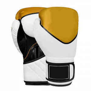 Guantes de boxeo profesionales ganadores en colores personalizados Impermeable Venta al por mayor Equipo de boxeo Cómodo Tasas de Venta caliente 2025 - Product Image 1