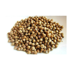 Semillas de Cilantro Molido de Alta Calidad, Especias Únicas Nutritivas de Egipto en Forma Seca, Procesamiento Crudo, al Mejor Precio - Product Image 1
