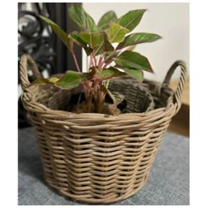 เฟอร์นิเจอร์บ้านคุณภาพสูงสำหรับห้องนั่งเล่นห้องนอนห้องรับประทานอาหาร - Product Image 1