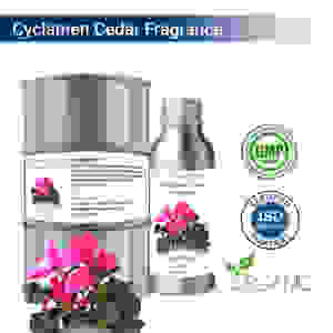 Planta de Interior Premium Cyclamen Cedar Spa & Fragrance con Aroma Seductor - Product Image 1