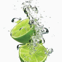 Prix PAS CHER HAUTE QUALITÉ FRAIS SANS GRAINES 2023/Lime sans pépins frais Vietnam/CITRON VERT en gros