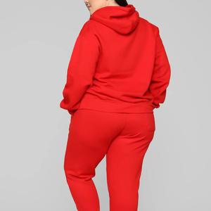 Sudadera con capucha de tarifa barata transpirable de gran tamaño para mujer, Sudadera con capucha personalizada de alta calidad para mujer al por mayor, moderna y cómoda - Product Image 2