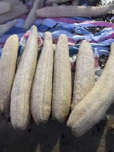 Loofah seca entera 2024 Malla de baño Esponja de lufa en forma de calabaza con calidad de grado - Product Image 4