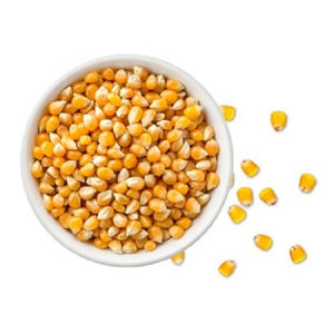 Holesale Yellow ellow Orn/Yellow ellow Orn Fo Uman Consumption - Product Image 1