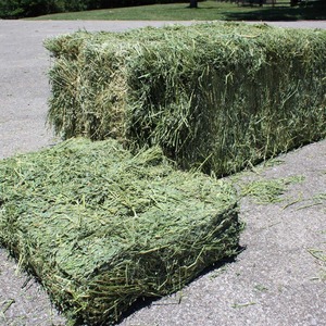 Heno de Alfalfa de Alta Proteína para Alimentación Animal, Cultivado en Granja, Hojas Verdes Frescas, Listo para Enviar, para Caballos, Ganado y Perros - Product Image 3