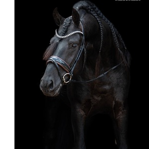 Bride Snaffle - Product Image 4