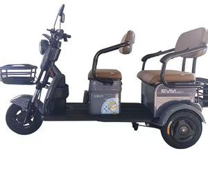 Triciclo Eléctrico de 3 Ruedas Listo para Entrega - Product Image 2