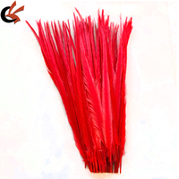 Vente en gros de plumes de faisan collier blanchies et teintes de 18-20 pouces pour robes de samba, décorations de mariage et de carnaval, et accessoires pour cheveux