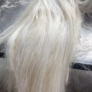 Increíble Oferta al por Mayor: Fibra de Sisal de Alta Calidad en Venta, Descuento Especial, Fibra Larga Premium de Sisal Blanco Cremoso para la Fabricación de Concreto - Product Image 3