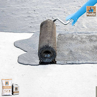 Membrane d'étanchéité de nouveau style de génération moderne polymère élastomère revêtement de toit en ciment caoutchouc asphalte liquide